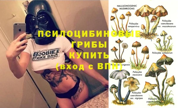круглые Аркадак