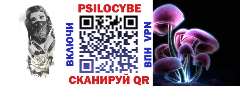 Псилоцибиновые грибы Psilocybe  Багратионовск 